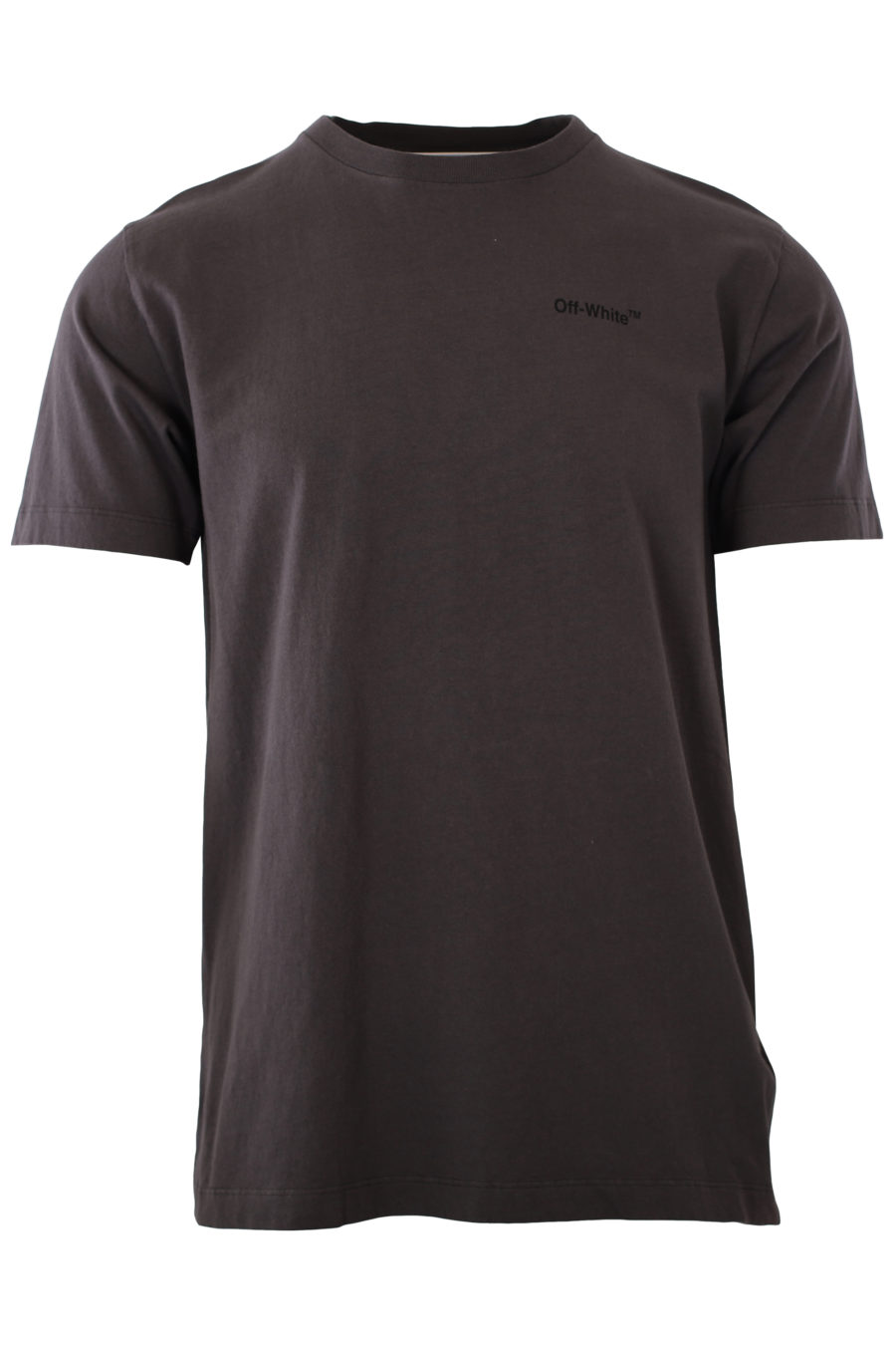 Camiseta gris con logo grande negro - IMG 2345