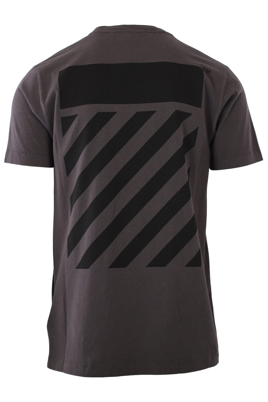 Camiseta gris con logo grande negro - IMG 2346
