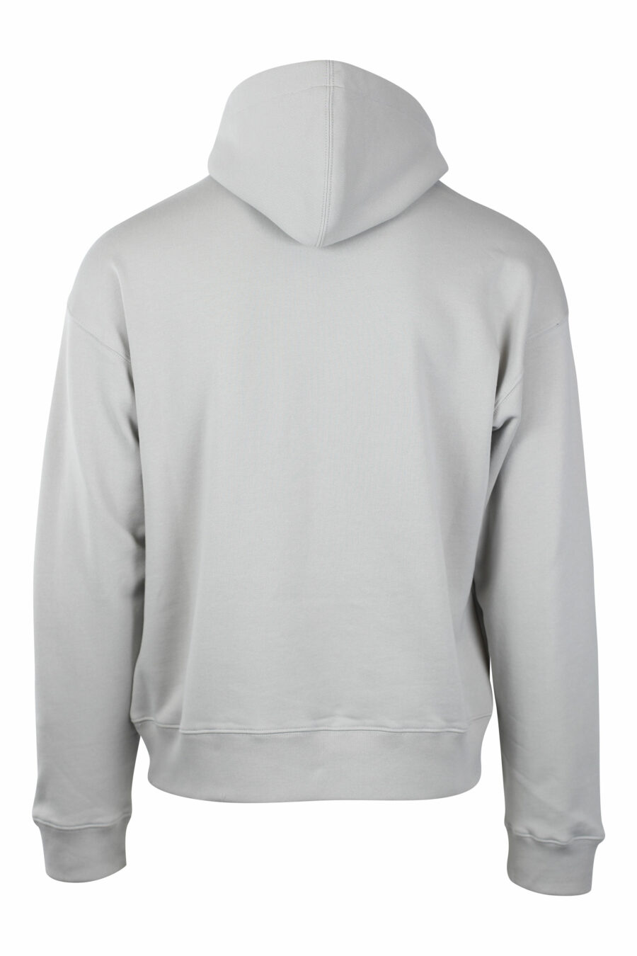 Grey hooded sweatshirt with monochrome bear mini logo - IMG 1400