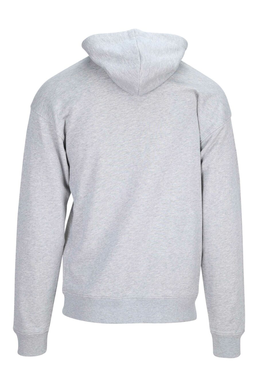 Grey hooded sweatshirt with logo "teddy tailor" - 667113124940 1